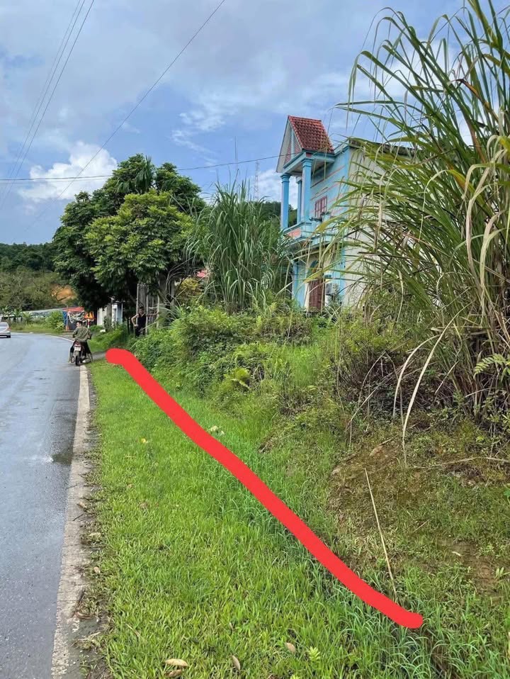 Đất thổ cư 1400m² tại Thị trấn Vị Xuyên, Hà Giang - Giá thỏa thuận hấp dẫn!