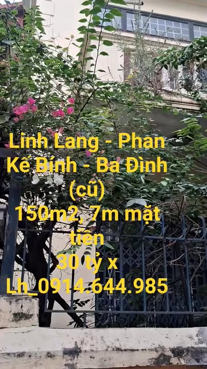 Nhà riêng Linh Lang, Ba Đình 150m² giá 30 tỷ - Chính chủ, mặt tiền 7m