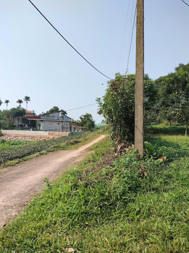 Đất thổ cư 218m² đường Bắc Sơn, Thái Nguyên giá 1.1 tỷ - Cơ hội đầu tư hấp dẫn!