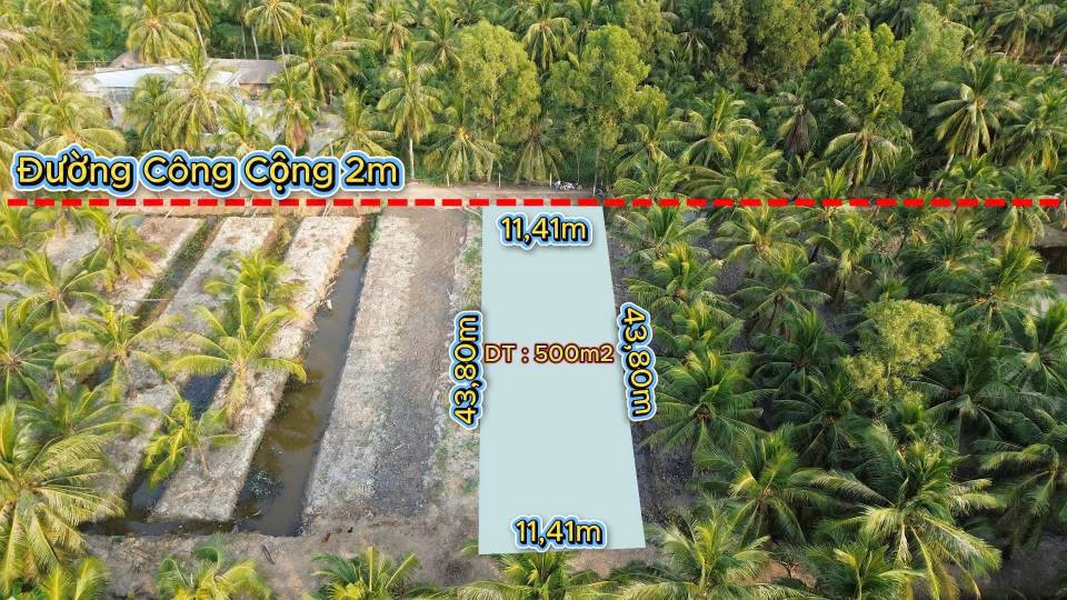 Đất vườn Tân Phú Đông 500m² giá 215 triệu - Đầu tư sinh lời ngay!