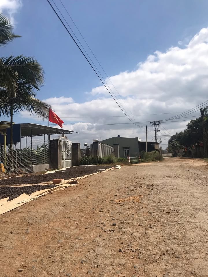 Lô đất đẹp tại Huyện Krông Pắc 2500m² giá 5.7 tỷ - Sổ đỏ chính chủ, thích hợp đầu tư!