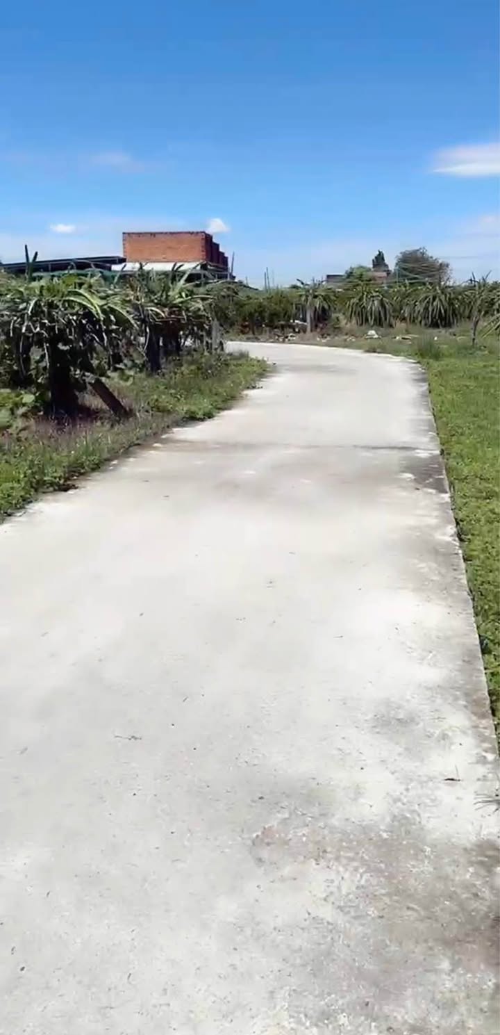 Đất Farm 13.000m² Xã Hàm Hiệp Giá 800 triệu - Cơ Hội Đầu Tư Tuyệt Vời!