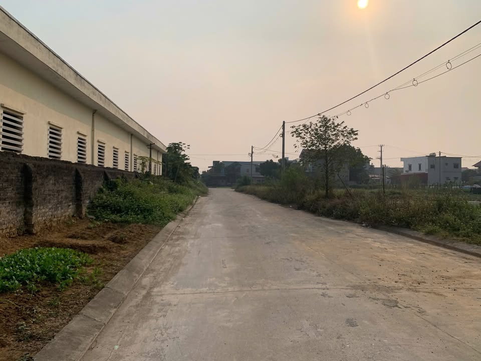 Đất phân lô Ninh Tiến, Ninh Bình 120m² - Chính chủ bán, giá thỏa thuận!