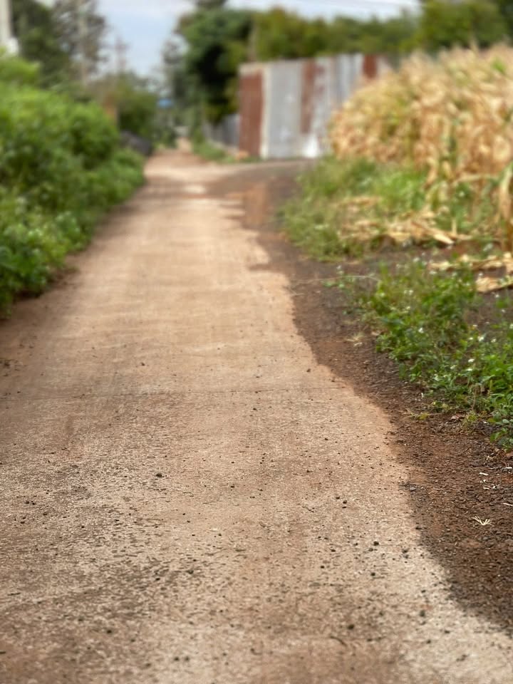 Đất thổ cư 525m² tại Thôn 2 Cư Suê chỉ 500 triệu - Cơ hội đầu tư tuyệt vời!