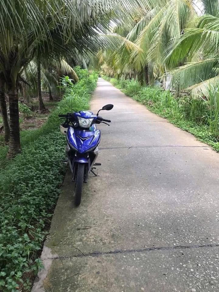 Đất nền xã Tân Phong, huyện Thạnh Phú, Bến Tre 1040m² giá 975 triệu - Đầu tư sinh lời ngay!