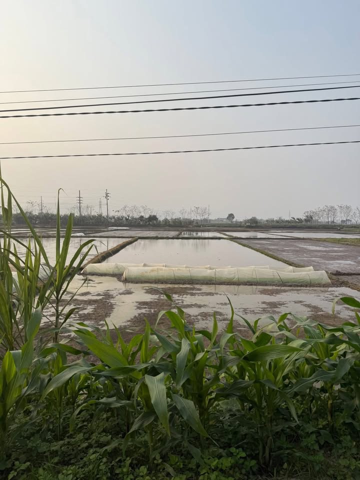 Đất nền Huyện Trạm Tấu 120m² giá 400 triệu - Sổ đỏ chính chủ, view thoáng mát!