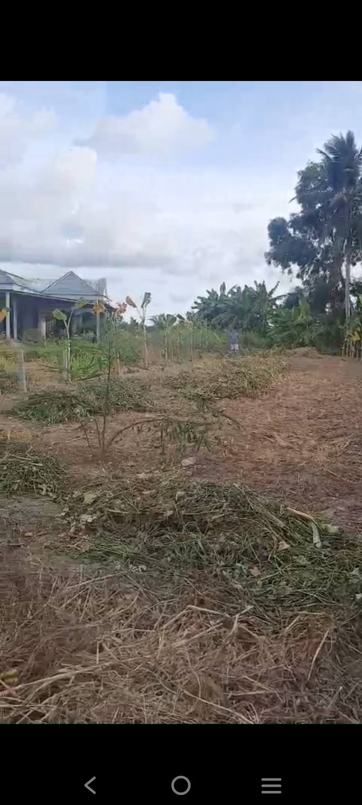 Đất nền ấp Tân Phước, Châu Thành, Kiên Giang 253.6m² - Giá chỉ 20.288 tỷ, sổ hồng chính chủ!