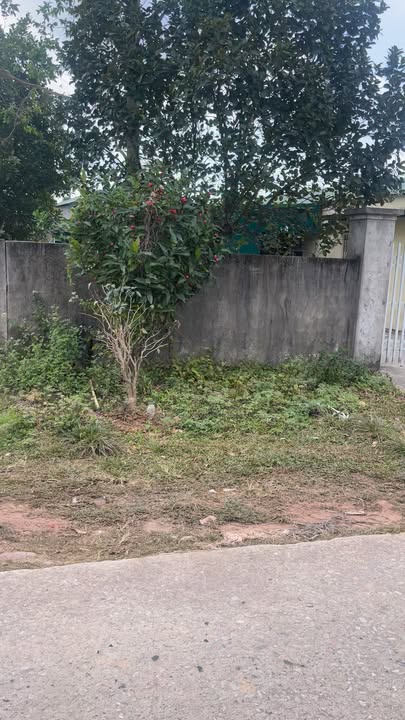 Đất nền góc Phường Hải Yên 100m² giá hơn 1 tỷ - Tiềm năng sinh lời hấp dẫn!