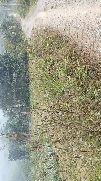 Đất phân lô đầu tư tại Xã Tân Vinh, Huyện Lương Sơn, Hòa Bình 3400m² - Cơ hội sinh lời lớn!