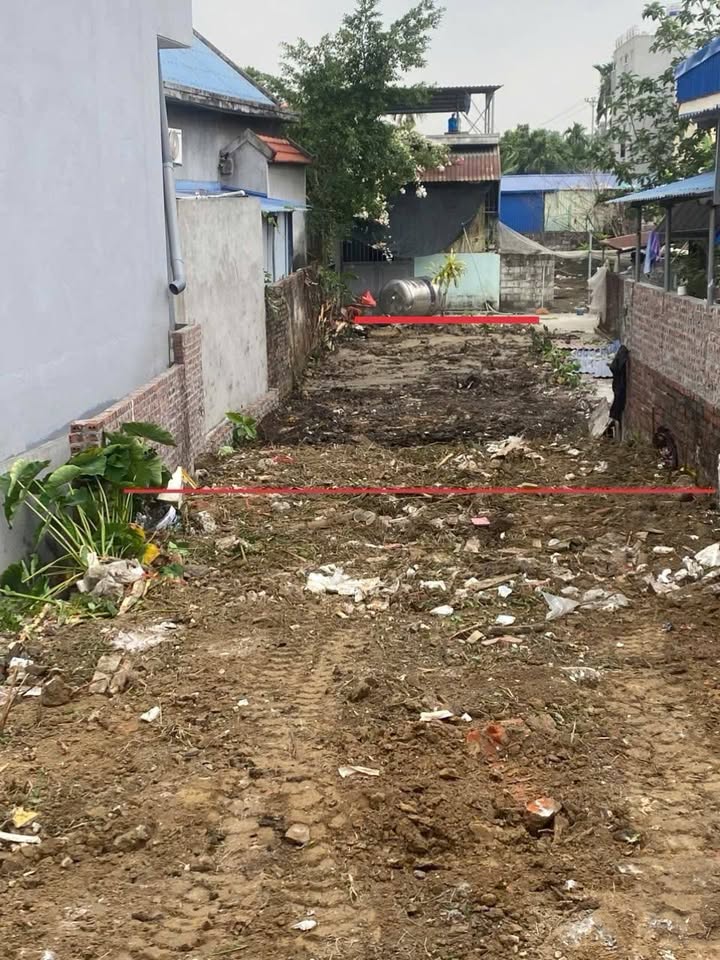 Đất nền đường Lâm Động, Thuỷ Nguyên 98m² giá 1.35 tỷ - Cơ hội đầu tư tuyệt vời!