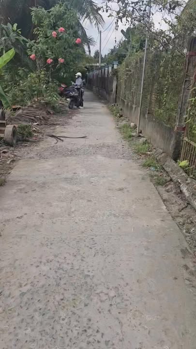 Đất nền xã Tân Hội, Thị xã Cai Lậy 731m² giá 590 triệu - Đầu tư sinh lời ngay!