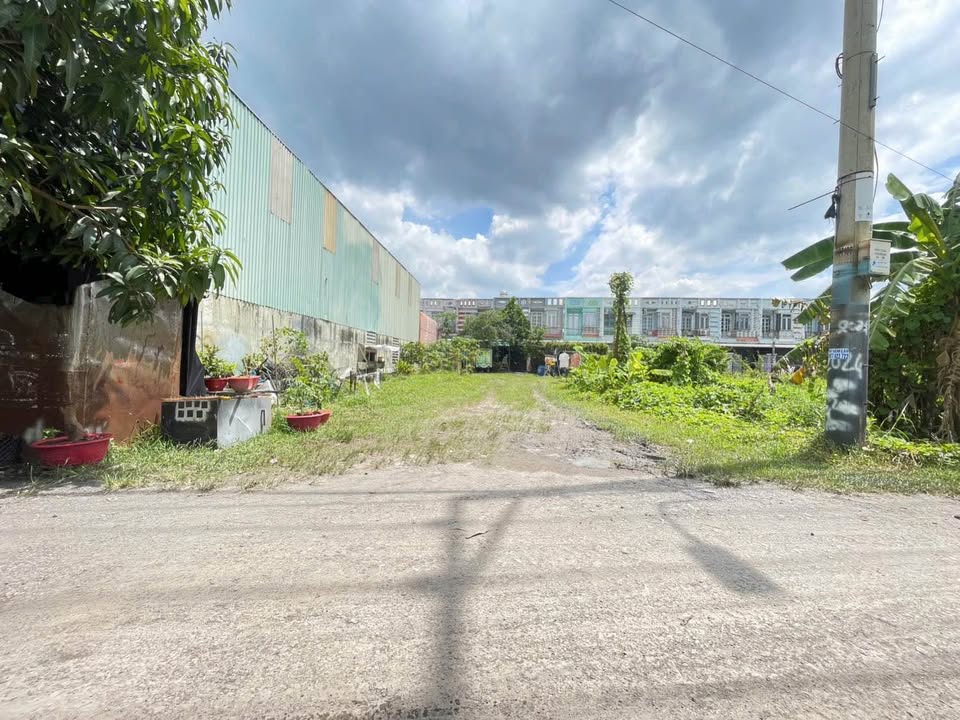 Đất thổ cư 356m² mặt tiền đường 171, Bình Mỹ, Củ Chi - Giá 5 tỷ, đầu tư sinh lời!