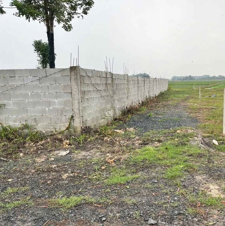 Đất nền xã Nhuận Đức, Củ Chi 1.100m² giá chỉ 600 triệu - Cơ hội đầu tư tuyệt vời!