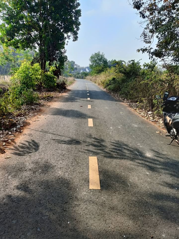 Đất nền Ấp 8, Thanh Hòa, 700m², giá chỉ 2.8 tỷ - Cơ hội đầu tư sinh lời!