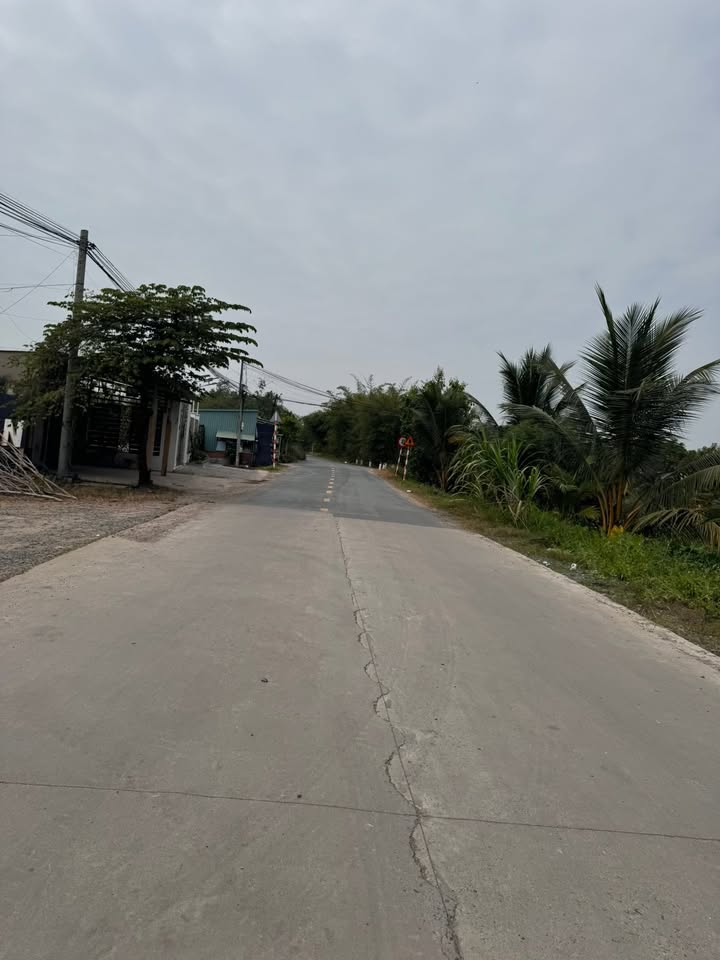 Đất vườn 1000m² xã Hựu Thạnh, Đức Hòa - Giá chỉ 2 tỷ!