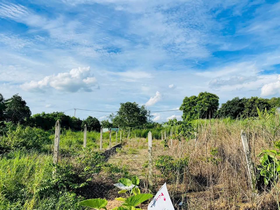 Đất thổ cư Củ Chi 125m² giá 2.5 tỷ - Mặt tiền đường Lê Thị Chính