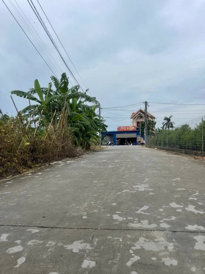 Đất trang trại 2500m² tại An Dương, Hải Phòng - Vị trí đẹp, giá tốt cho nhà đầu tư!