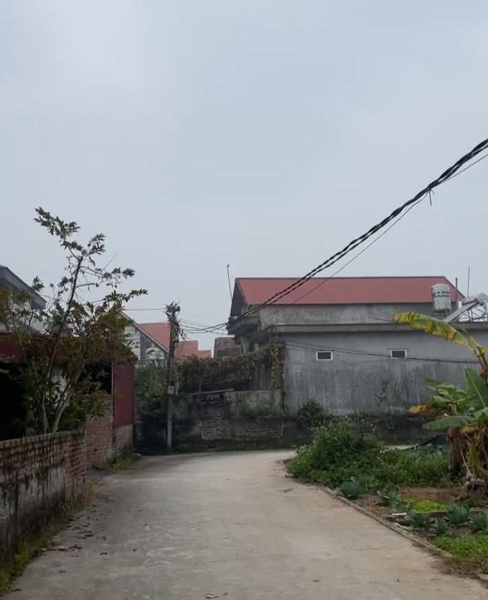 Đất thổ cư 100m² tại Xã Liên Mạc, Thanh Hà - Giá chỉ 535 triệu!