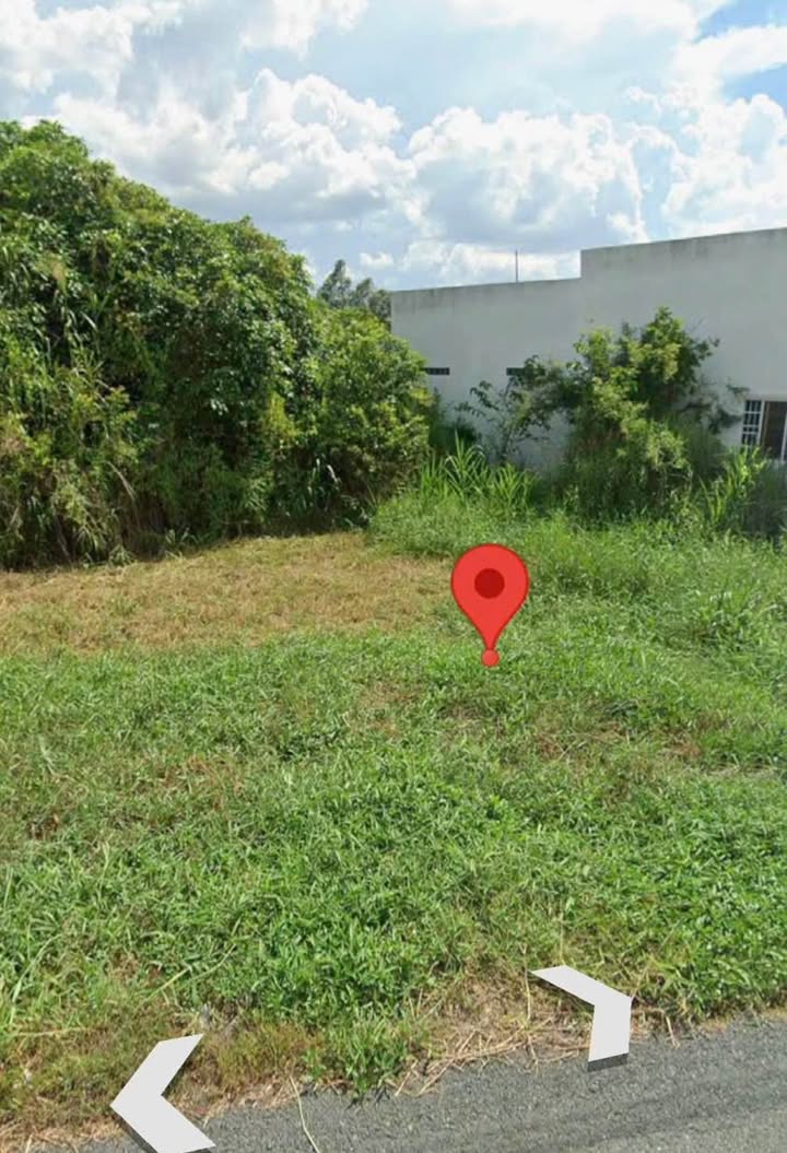 Đất thổ cư mặt tiền Kênh Tư Dĩnh 285m² giá 1.7 tỷ - Sẵn sàng xây biệt thự vườn!