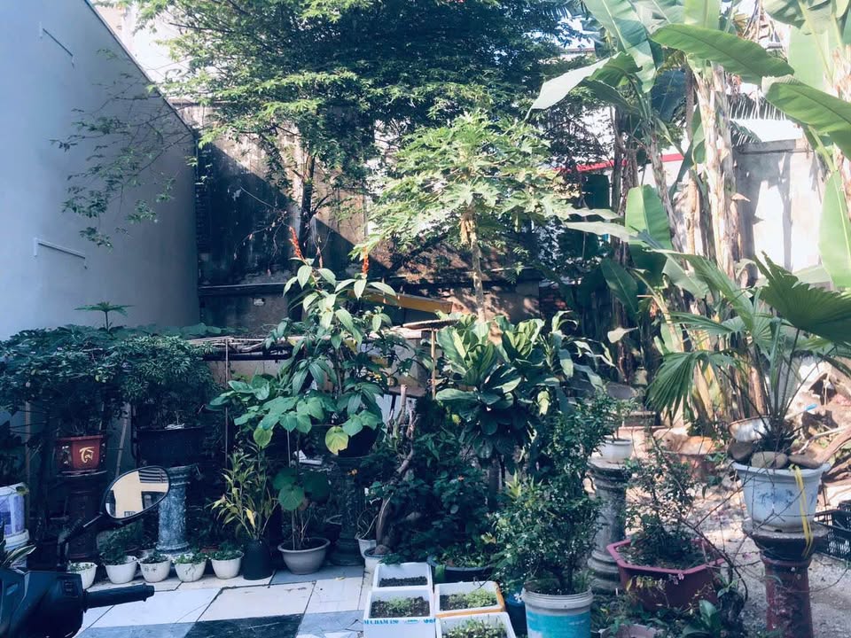 Đất nền Trần Xuân Soạn, Đông Thọ 62m² giá 2 tỷ - Cơ hội đầu tư hấp dẫn!