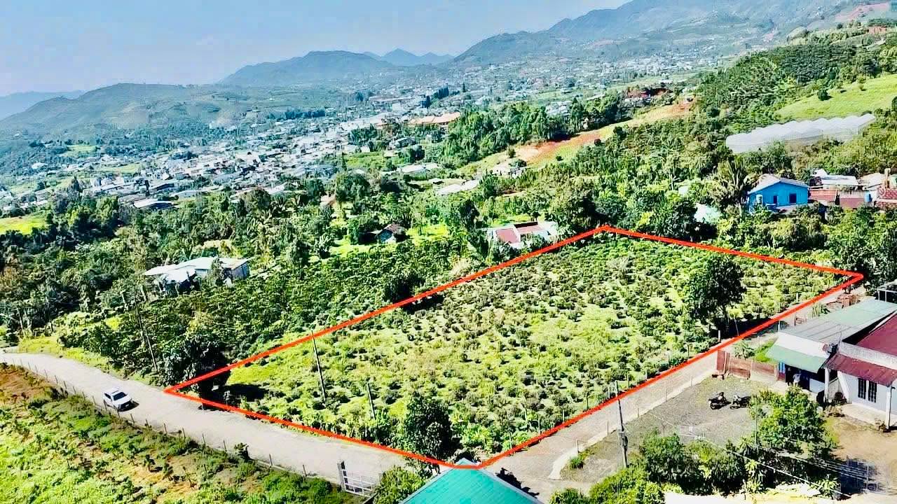 Đất nền mặt tiền đường Trương Định, Bảo Lộc 3.550m² - Giá chỉ 11 tỷ