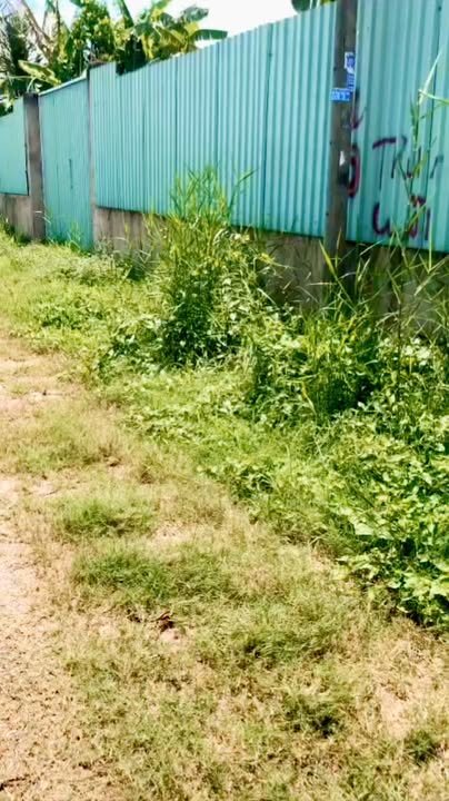 Nhà vườn SHR Bình Mỹ, Củ Chi 538m² giá 2.4 tỷ - Cơ hội vàng cho nhà đầu tư!