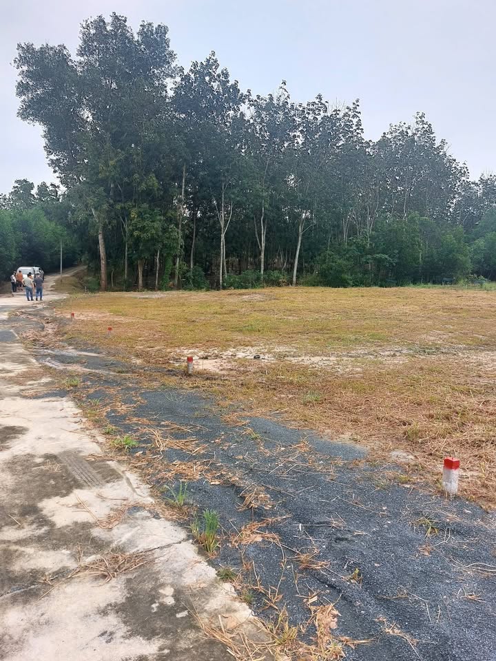 Đất thổ cư KCN Minh Hưng, Chơn Thành 140m² giá chỉ 380 triệu - Cơ hội đầu tư tuyệt vời!