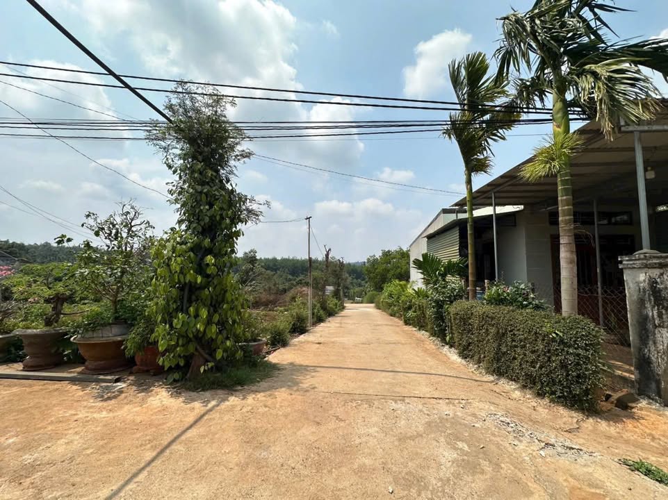 Đất mặt tiền đường ô tô tại phường Tân Lợi, Buôn Ma Thuột 492m² - Giá tốt nhất khu vực chỉ 4.7 tỷ!