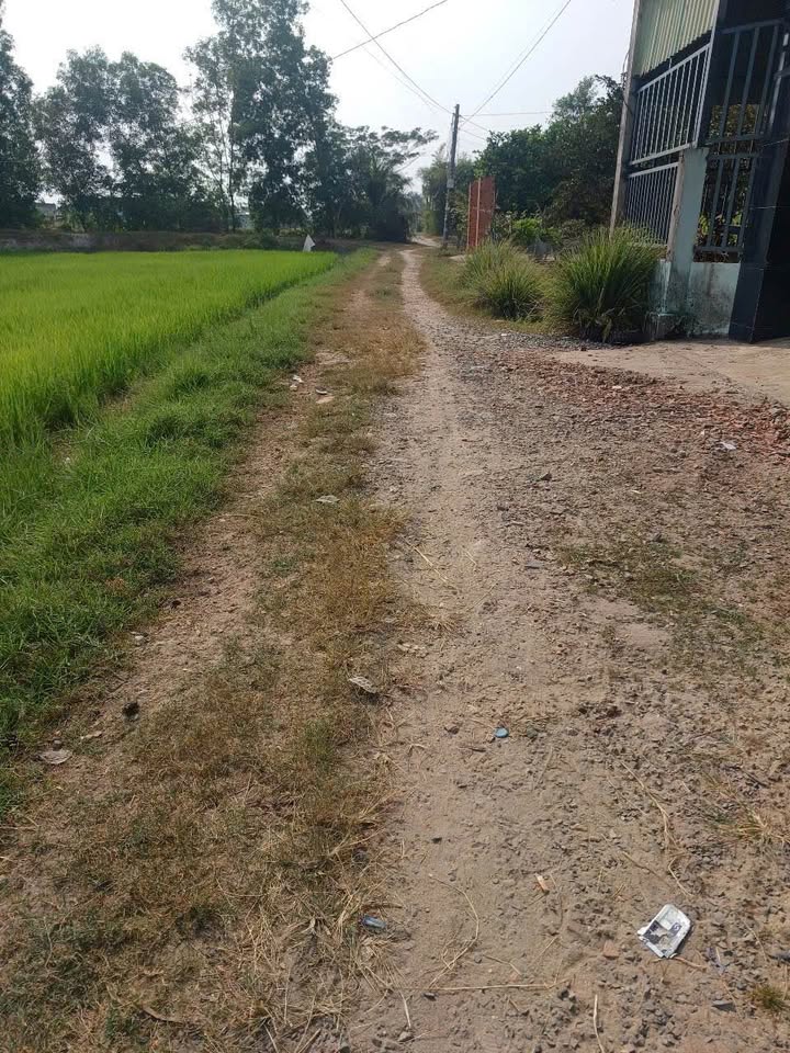 Đất nền xã Đức Hòa Thượng 374m² giá 1.15 tỷ - Sổ hồng riêng, pháp lý rõ ràng!