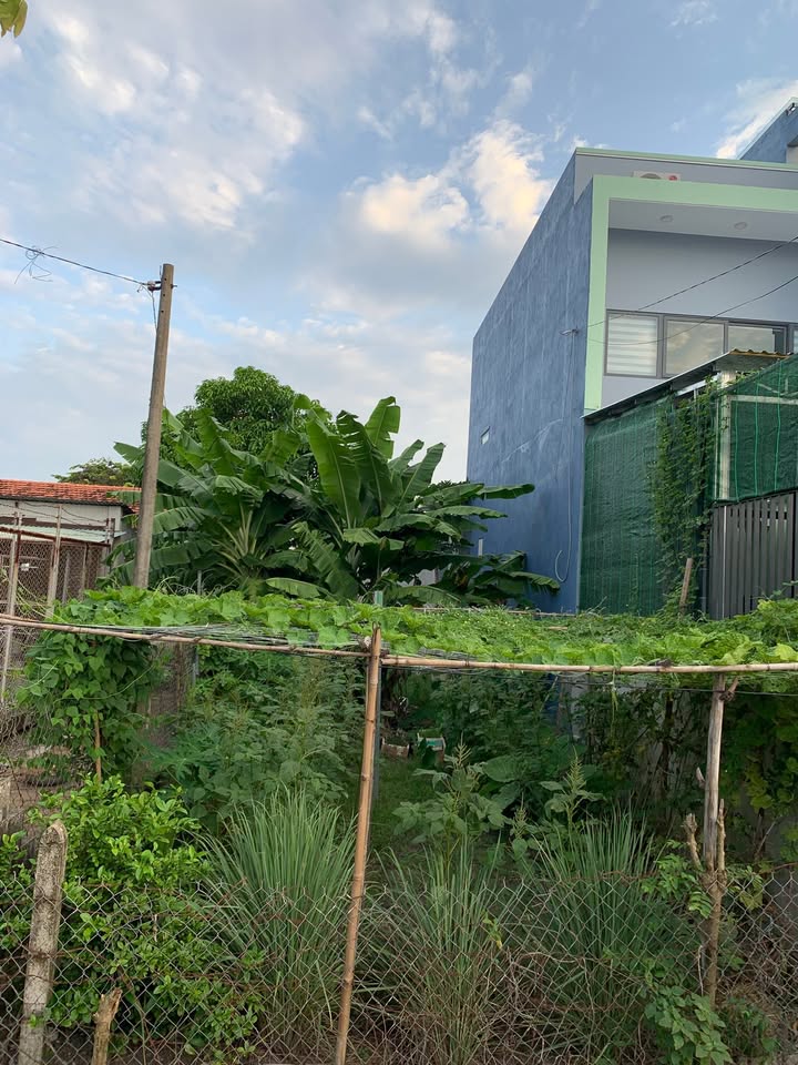 Đất thổ cư 125m² mặt tiền đường Mai Thị Buội, Củ Chi - Chính chủ bán gấp!