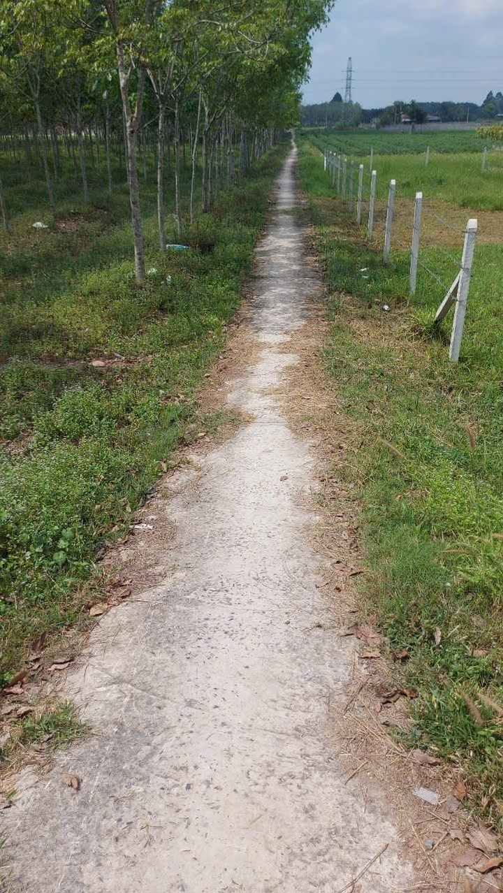 Đất vườn xã Nhuận Đức Củ Chi 500m² giá 1 tỷ - Cơ hội đầu tư hấp dẫn!