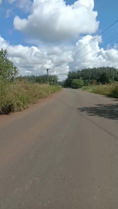 Đất nền giá rẻ 1000m² tại Lam Sơn, Tân Phước chỉ 500 triệu - Cơ hội đầu tư hấp dẫn!