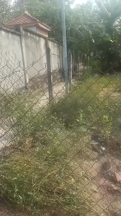 Đất nền Chánh Mỹ Thủ Dầu Một 117m² - Đầu tư sinh lời ngay!