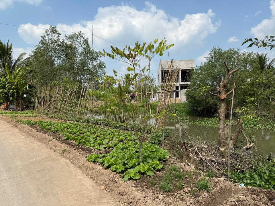 Đất nền Nhơn Nghĩa, Phong Điền 166m² giá đầu tư - View sông tuyệt đẹp!