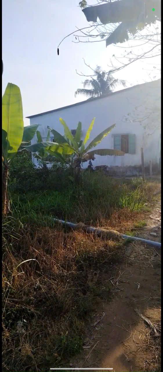 Đất nền thổ cư Cái Tắc, Thạnh Hòa 100m² giá 370 triệu - Đầu tư tiềm năng!