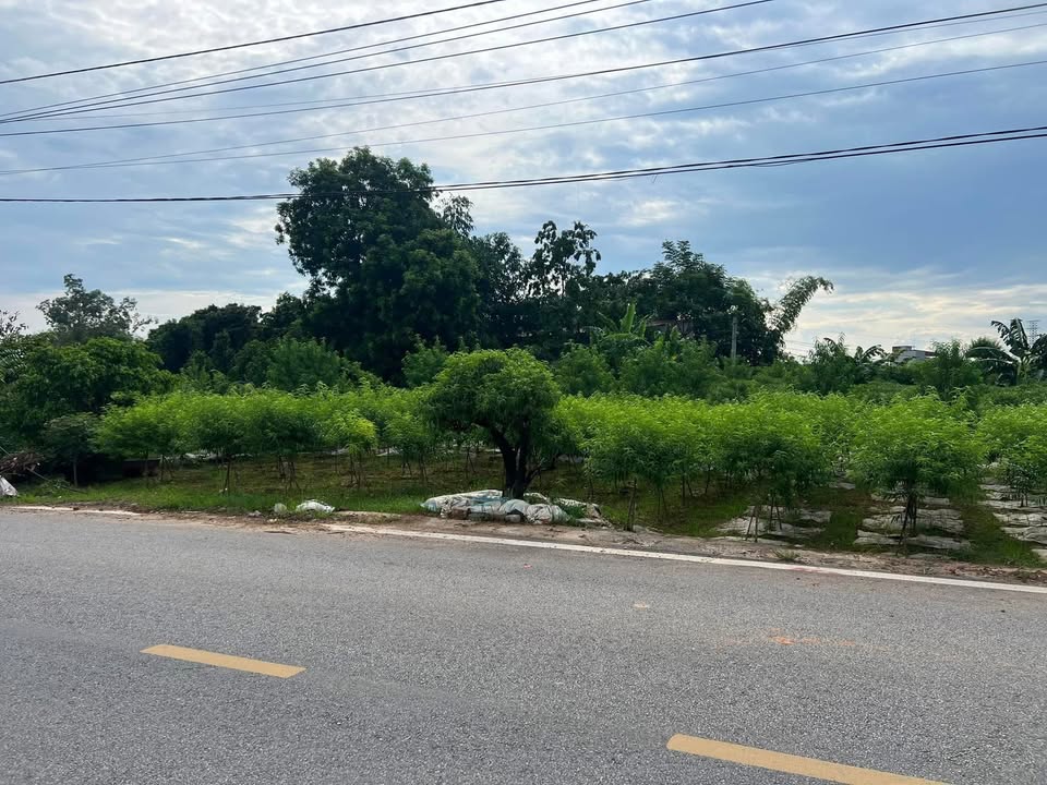 Đất mặt đường DH4, Phú Thọ 133m² - Đầu tư sinh lời cao!