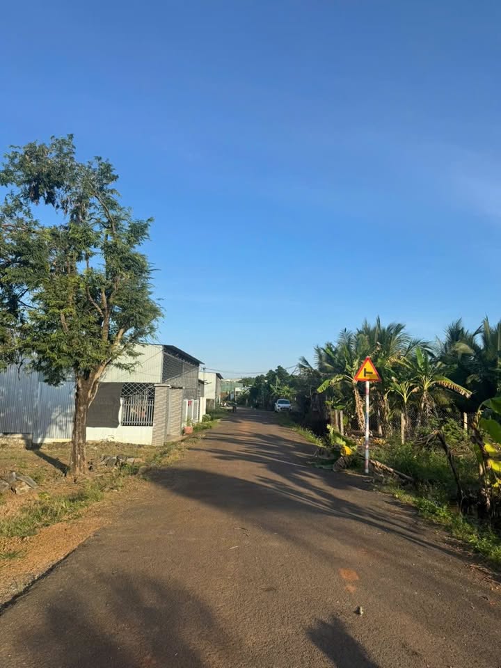 Đất thổ cư Phường Thành Công, Buôn Ma Thuột 130m² giá 980 triệu - Đầu tư sinh lời ngay!