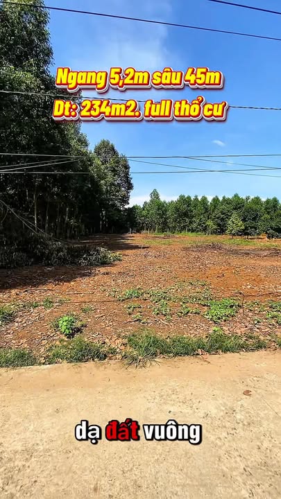 Đất thổ cư Xã Long Thành 230m² giá 1.68 tỷ - Cơ hội đầu tư tuyệt vời!