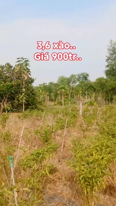 Đất vườn 3,6 sào tại Phú Túc, Định Quán - Giá 900 triệu, pháp lý rõ ràng!