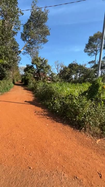 Lô đất nền 2 mặt tiền tại Thuận Nghĩa, Đăk Nông 10800m² giá 1.5 tỷ - Đầu tư sinh lời ngay!