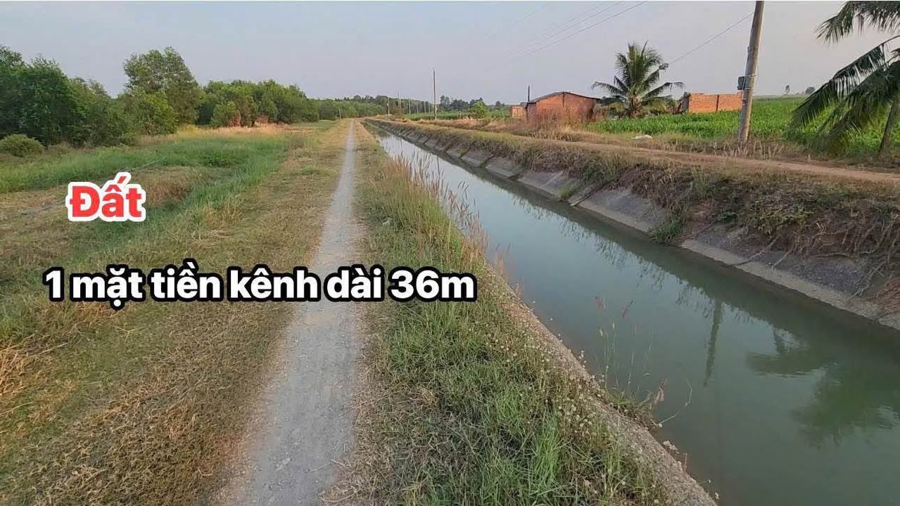 Đất thổ cư 1001m² tại Châu Thành, Tây Ninh - Giá chỉ 380 triệu, thương lượng tốt!