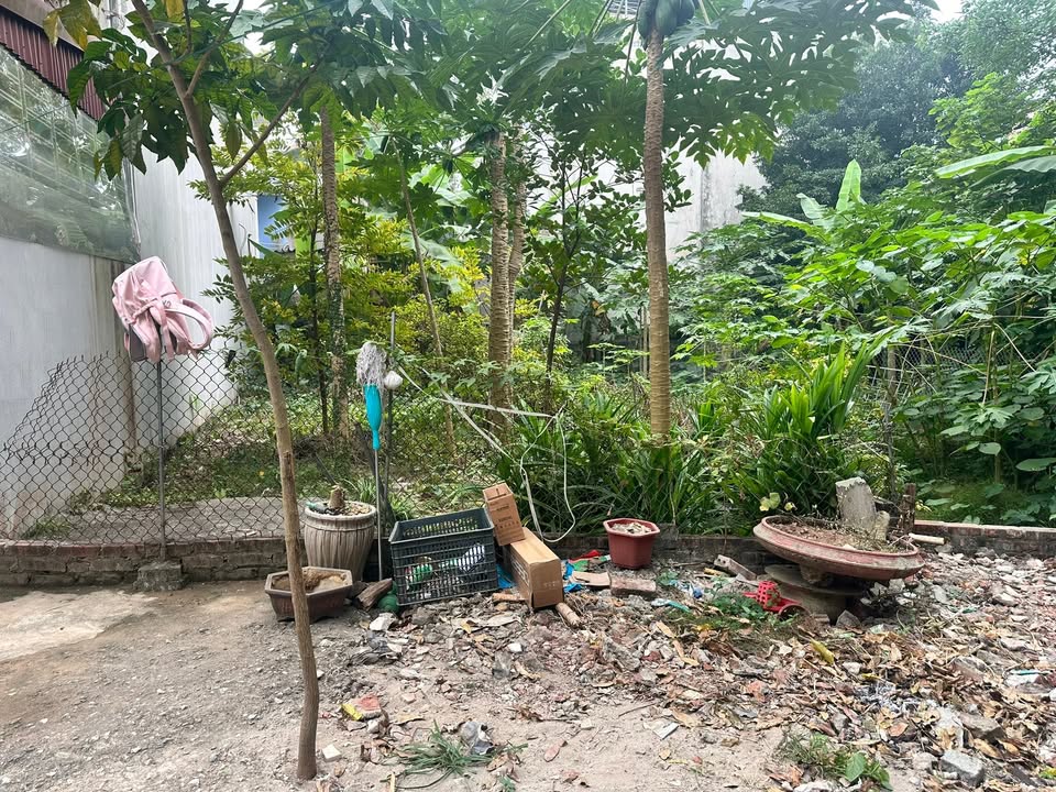 Đất Nội Thị Phường Sơn Lộc 85m² giá 3 tỷ - Sổ đỏ chính chủ!