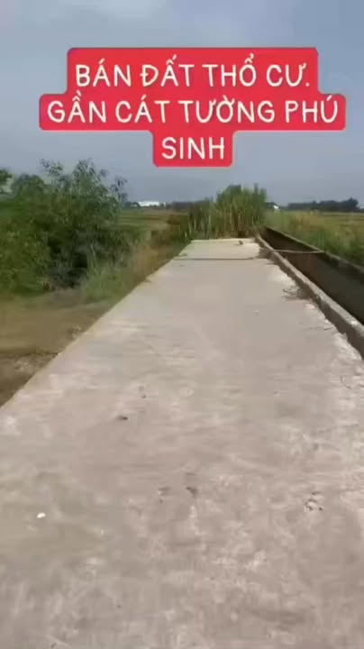 Đất nền Cát Tường Phú Sinh 970m² giá 5.5 tỷ - Tiềm năng đầu tư lớn!