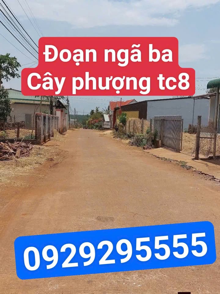 Đất hẻm cấp 1 xã Cư Suê 150m² giá 1.55 tỷ - Pháp lý thổ cư sẵn sàng giao dịch!