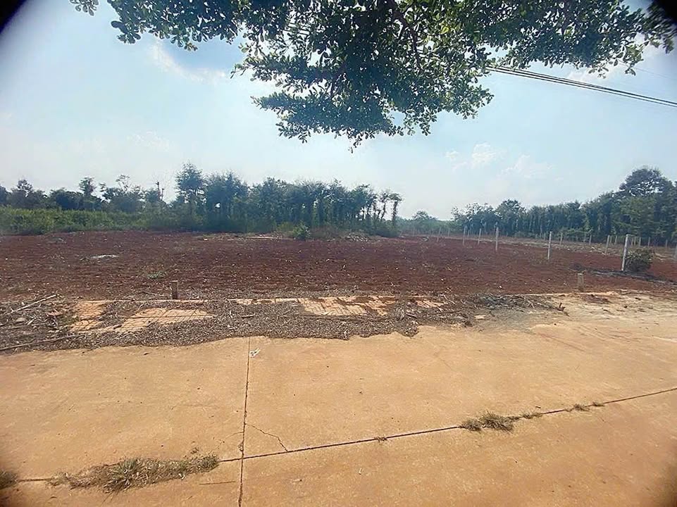 Đất nền chính chủ gần phố Ea Kao 150m² giá 520 triệu - Sổ hồng chính chủ!