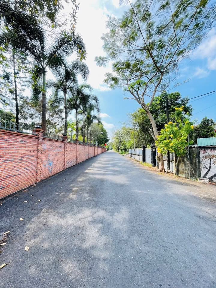 Đất thổ cư 1237m² đường Nhuận Đức, Củ Chi - Giá tốt, xây tự do!