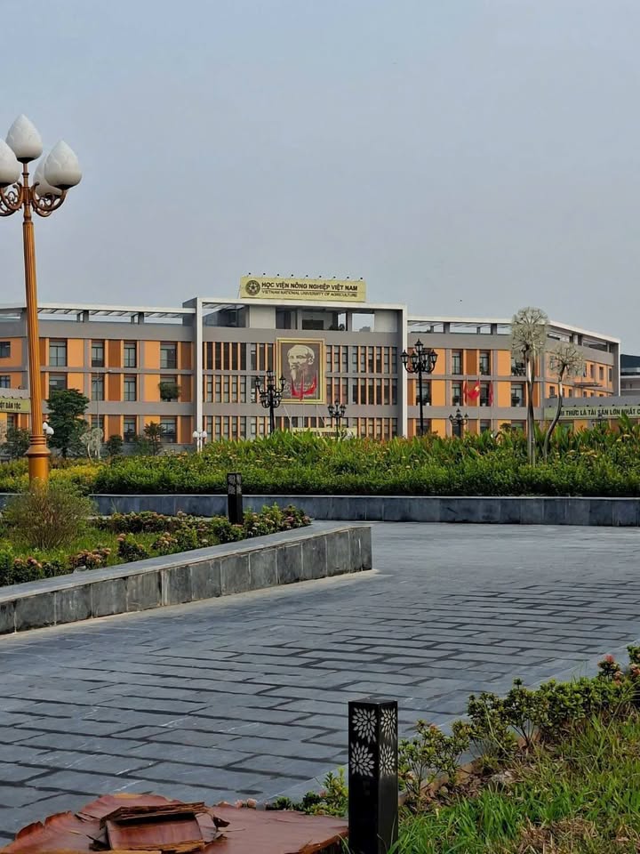 Đất nền 45m² tại Trâu Quỳ, Gia Lâm - Kinh doanh sầm uất, giá thỏa thuận!