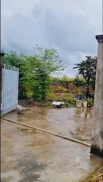 Đất vườn 4000m² tại phường Tân Xuyên, Cà Mau - Tiềm năng nghỉ dưỡng tuyệt vời!