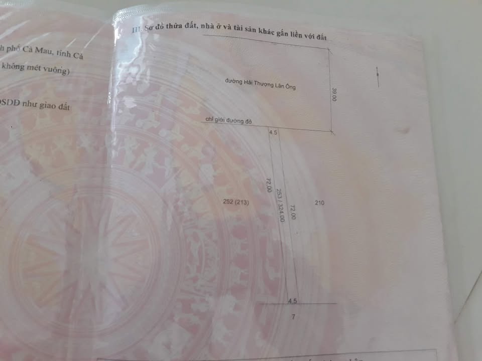 Đất nền đường Hải Thượng Lãn Ông, Cà Mau 324m² - Cơ hội đầu tư tuyệt vời!