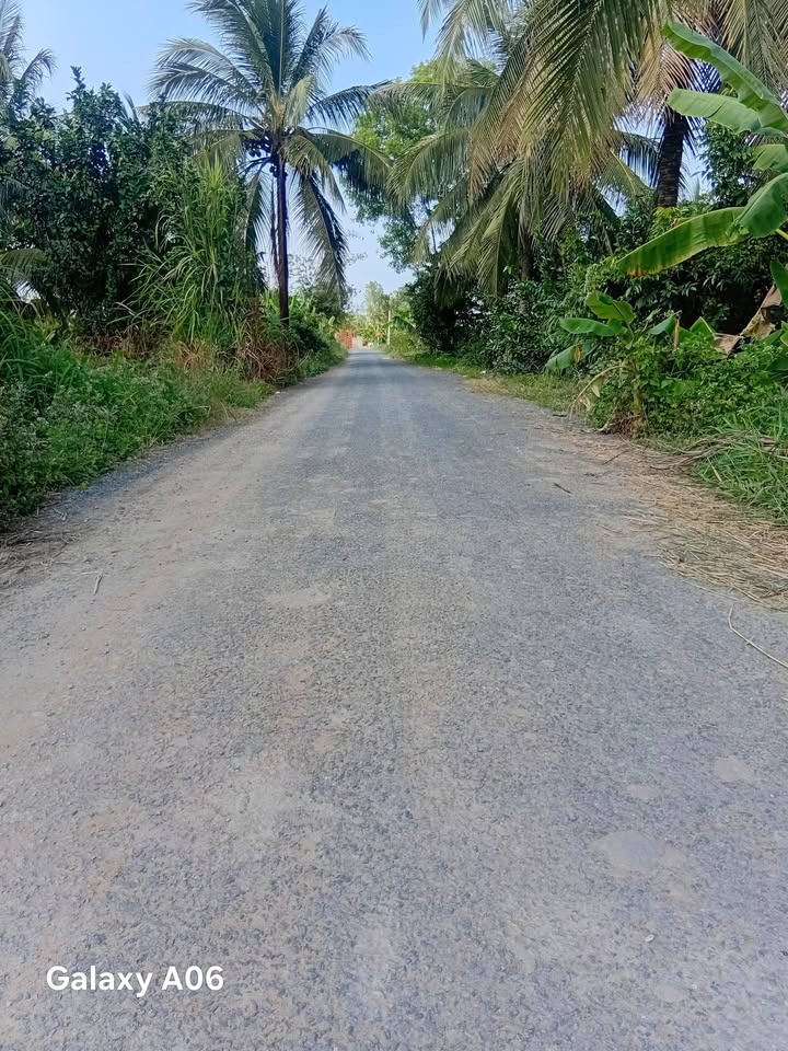 Đất nền mặt tiền Nguyễn Tấn Liềng, 126m² chỉ 450 triệu - Cơ hội đầu tư tuyệt vời!